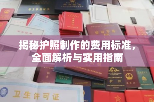 田尾揭秘护照制作的费用标准，全面解析与实用指南